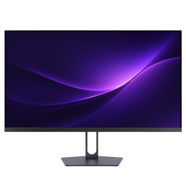 Professional Monitors
